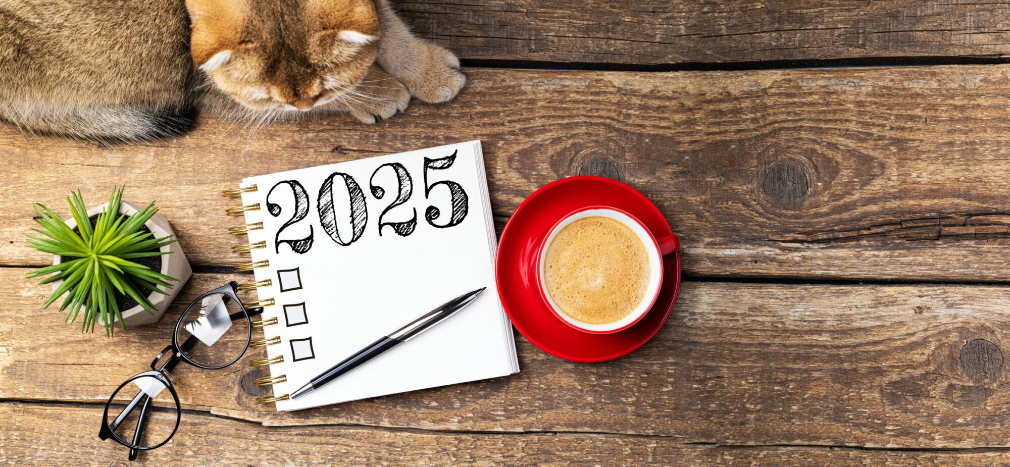 3 New Year’s Resolutions to Help Your Pet Live A Longer and Happier Life